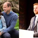 Kate Middleton tem feito planos para reunir os irmãos William e Harry 