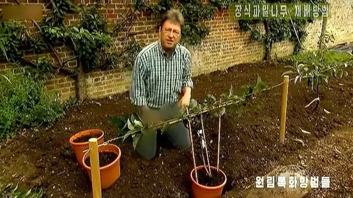 Coreia do Norte censura jeans de apresentador de programa de jardinagem britânico