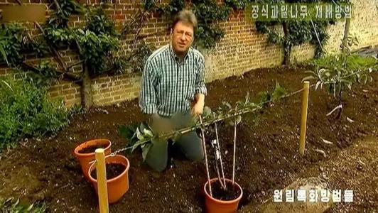 apresentador ajoelhado em horta mostra plantas
