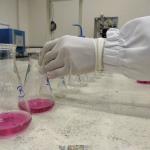 Do campo à mesa: como os laboratórios do IMA protegem a produção e a saúde dos mineiros