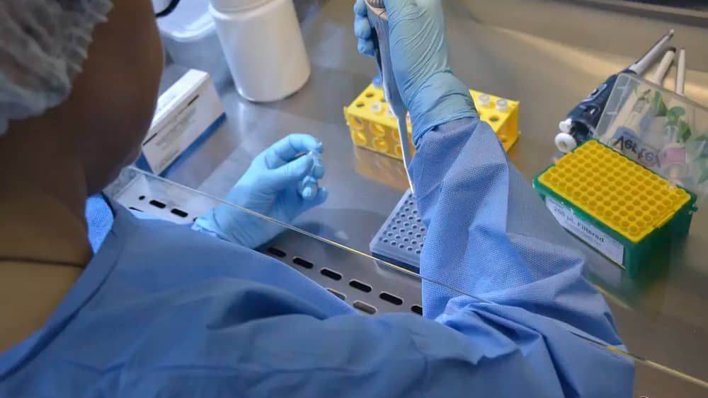 Vacina da chikungunya induz resposta imune em 98,8% dos vacinados