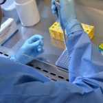 Vacina da chikungunya induz resposta imune em 98,8% dos vacinados