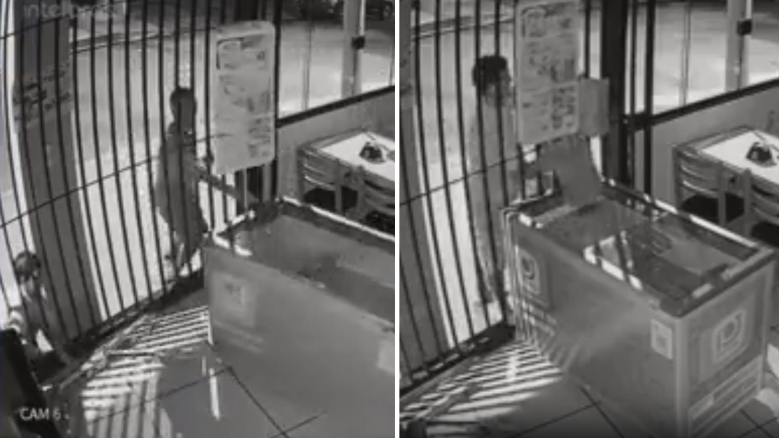 Vídeo: ladrões 'caras de pau' puxam freezer e furtam sorvetes em padaria de SP