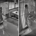 Vídeo: ladrões 'caras de pau' puxam freezer e furtam sorvetes em padaria de SP