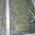 Vídeo: ‘Coisa assustadora’, diz zelador sobre furtos em bairro tradicional de Belo Horizonte