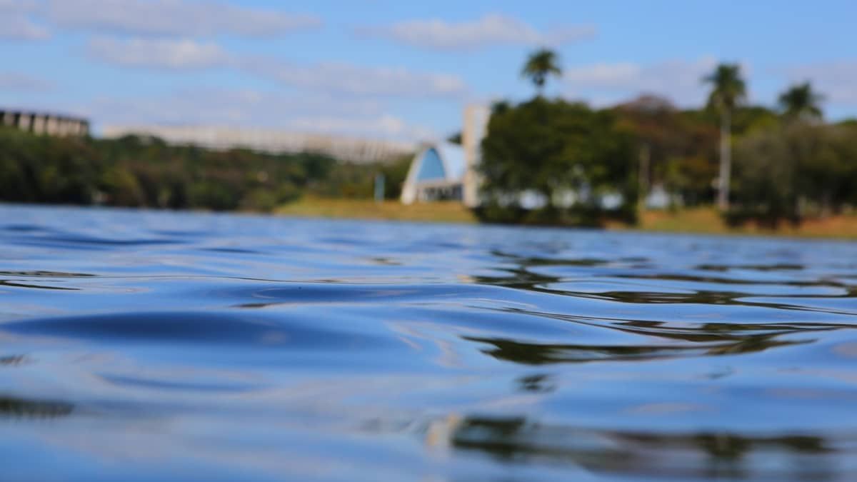 Eleições 2024: conheça as propostas dos candidatos em BH para a área do Meio Ambiente