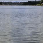 Para rebater CPI, PBH diz que qualidade da água da Lagoa da Pampulha permite prática de esportes náuticos