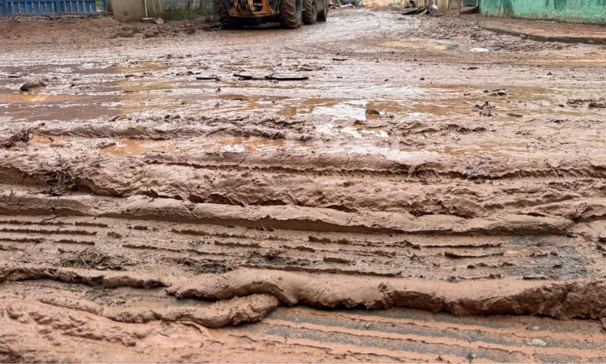 Uma semana após chuva extrema, Defesa Civil de Juiz de Fora supera 240 ocorrências