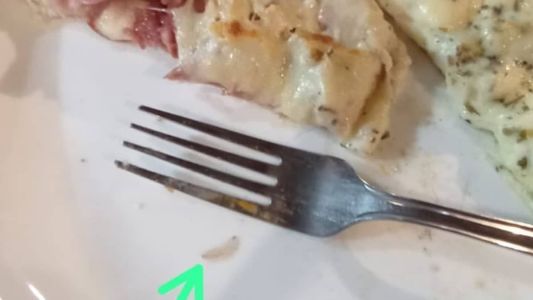 Larva estava viva e foi filmada se arrastando pelo prato