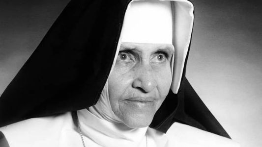 Lei foi publicada nesta quarta-feira no Diário Oficial da União