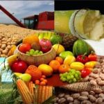 O agro merece respeito! Não podemos cuspir no prato que comemos