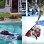 BBB 24: Leidy recria treta de Tina no BBB 2 ao jogar roupas de Davi na piscina; relembre