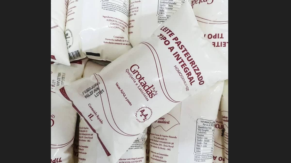 Santo Antônio do Monte adota leite A2A2 na merenda escolar; entenda  a diferença 