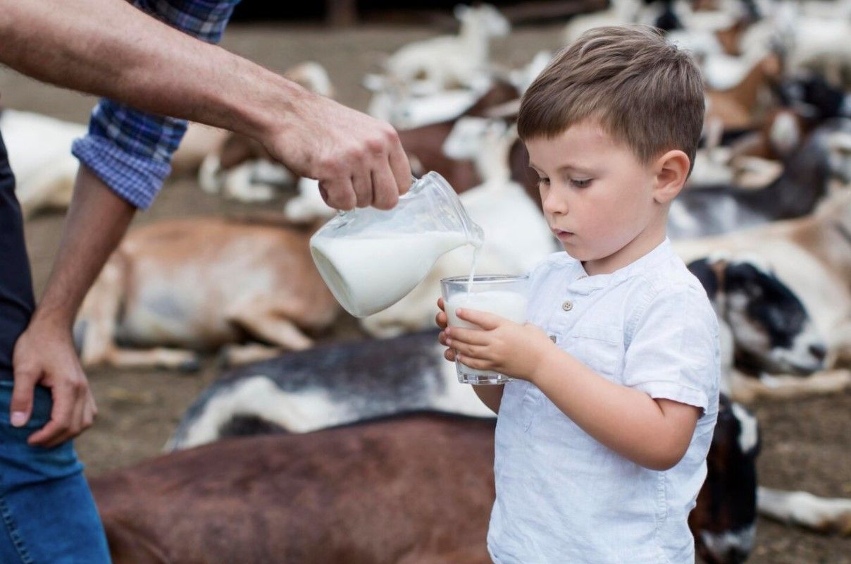 Valdir Barbosa | Governo de Minas vai proibir reidratação do leite em pó importado para proteger produtor rural