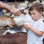 Valdir Barbosa | Governo de Minas vai proibir reidratação do leite em pó importado para proteger produtor rural