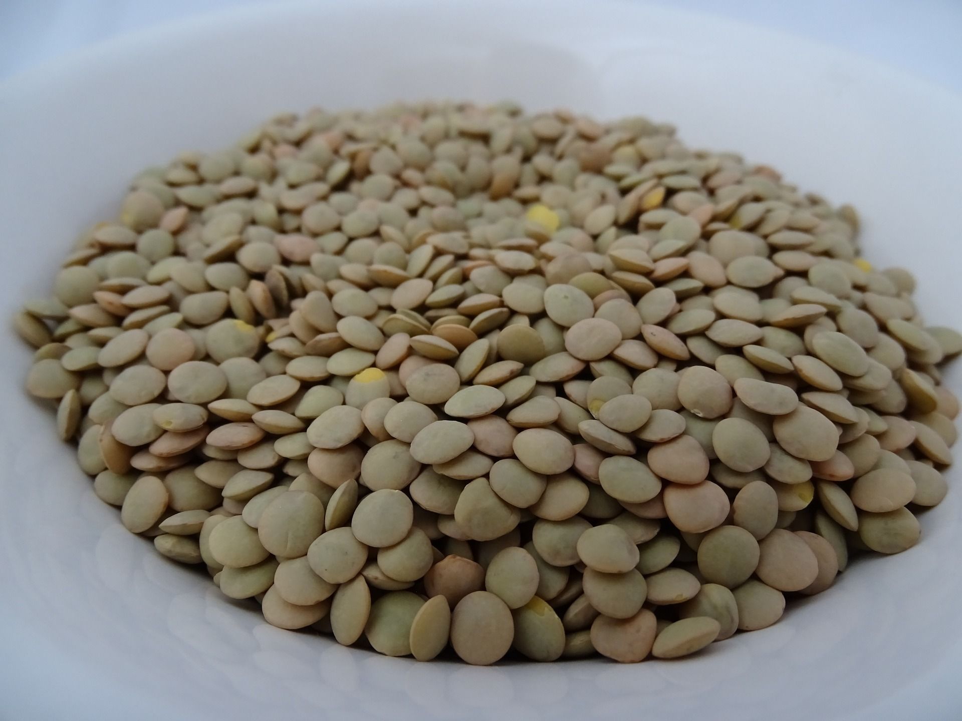 Como fazer arroz com lentilha? Veja a receita de Mjadra, prato tradicional árabe