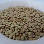 Como fazer arroz com lentilha? Veja a receita de Mjadra, prato tradicional árabe