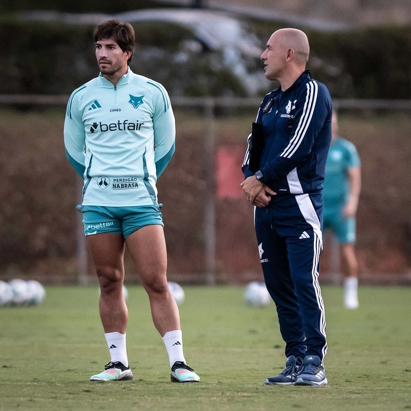 Parte física no Cruzeiro acende alerta de Jardim na temporada