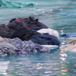 No BBB 24, Leidy joga roupas de Davi na piscina e provoca: 'vai no confessionário'