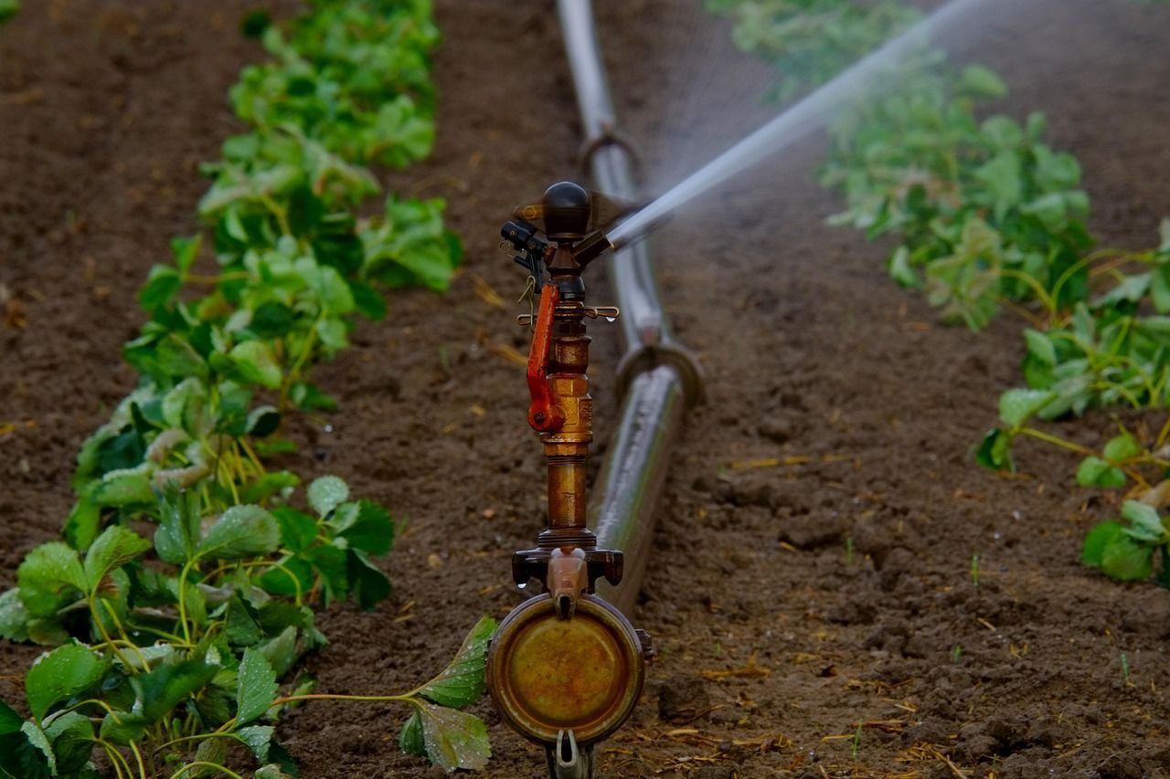 Zoneamento e licença ambiental para irrigação rural serão debatidos neste mês de julho