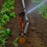 Zoneamento e licença ambiental para irrigação rural serão debatidos neste mês de julho