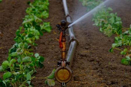 Ideia é que áreas de até mil hectares não necessitem de licenciamento