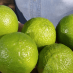 Alta nos preços de legumes e frutas pesa no bolso: limão-tahiti sobe 81% em BH