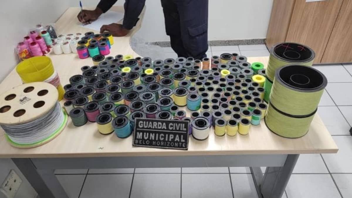 PBH apreende 334 pacotes de cerol e linha chilena nos primeiros seis meses de 2023
