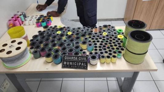 Linhas apreendidas pela Guarda Municipal de BH