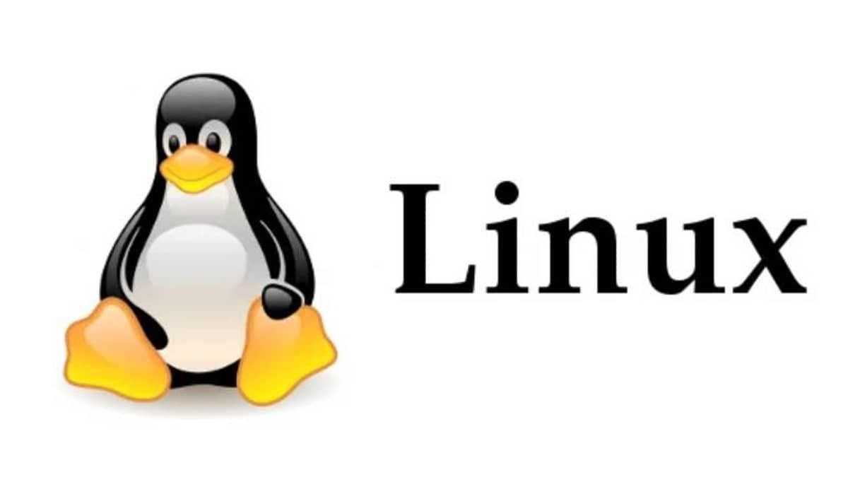 13 usos do Linux que você talvez nem imagine