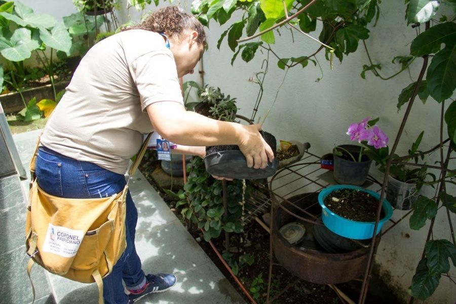 Fabriciano tem risco médio de transmissão da dengue no terceiro LIRAa de 2025