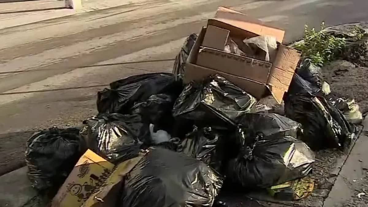 Casal do RS procura caixa com R$ 20 mil jogada no lixo por engano