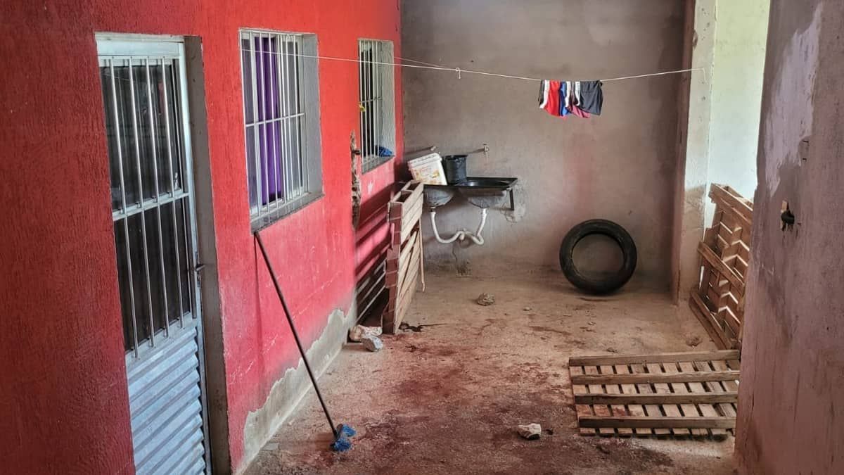 Criança morta por cachorro em Betim: tio da vítima, dono dos cães, é preso por homicídio culposo
