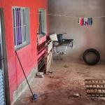 Criança morta por cachorro em Betim: tio da vítima, dono dos cães, é preso por homicídio culposo