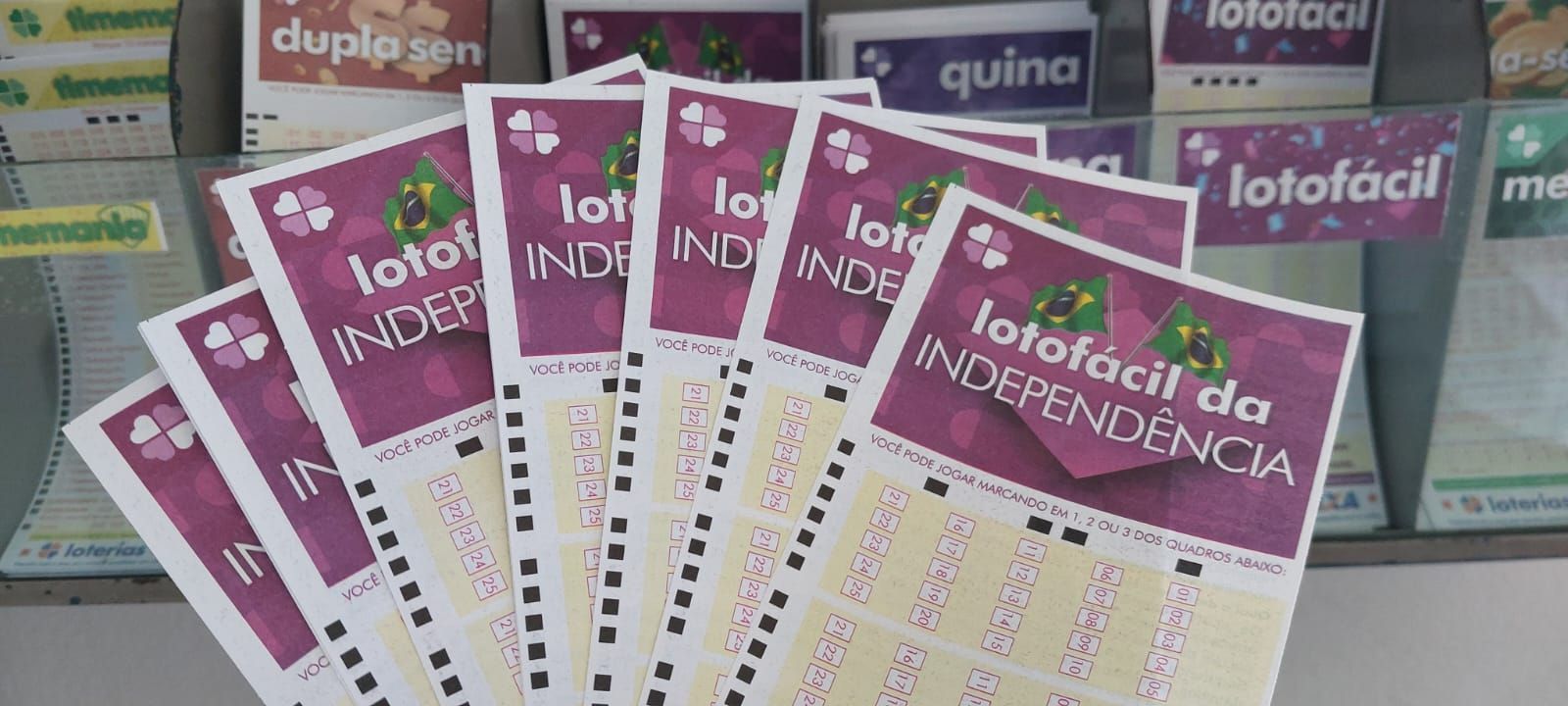 Lotofácil da Independência: 13 apostas de Minas vencem concurso com prêmio de R$ 206 milhões