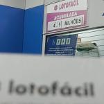 Próximo concurso da Lotofácil pode pagar prêmio milionário; veja como jogar