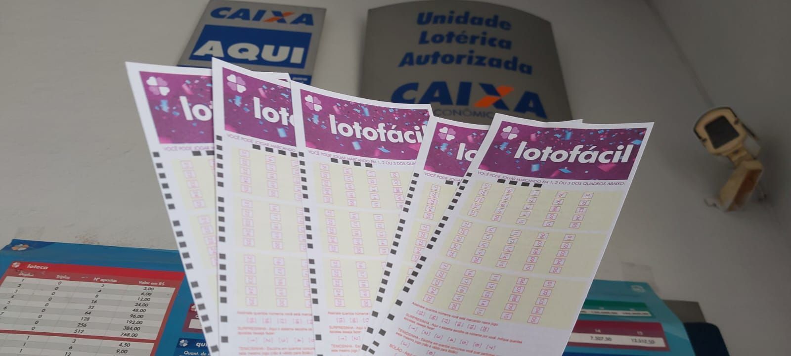 Resultado Lotofácil 3622: sortudo aposta R$ 476 sem sair de casa e ganha fortuna
