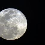 Empresa dos EUA pode ser a primeira a pousar na Lua nessa quinta-feira (22)