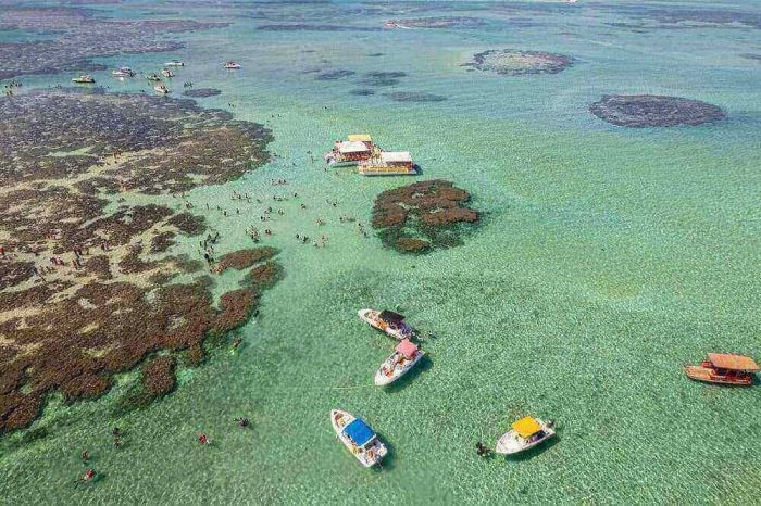 Guia é preso por importunação sexual durante mergulho com turista em Maragogi | CNN Brasil