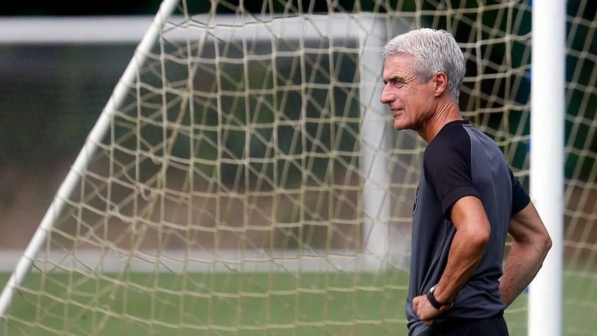 Botafogo se reapresenta na expectativa de 'reforços caseiros' para o Brasileirão