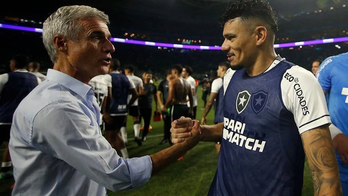Rivaldo: 'Saída de Luís Castro do Botafogo prejudica jogadores'