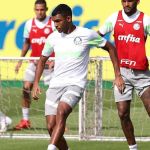 Palmeiras se reapresenta com novos uniformes de treino; confira fotos