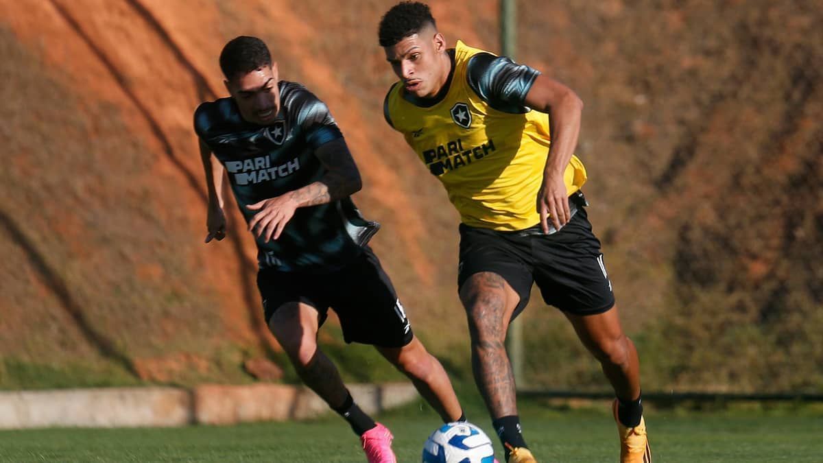 Luis Henrique acirra disputa no ataque do Botafogo antes de decisão