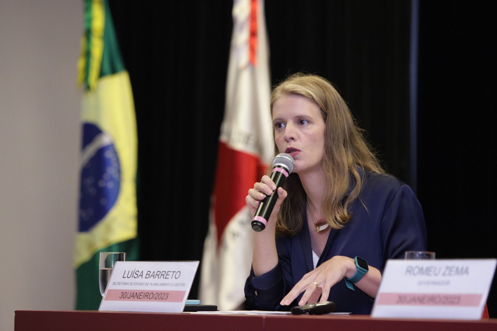 ‘Valor da Codemig será divulgado ainda este ano’, diz Luisa Barreto