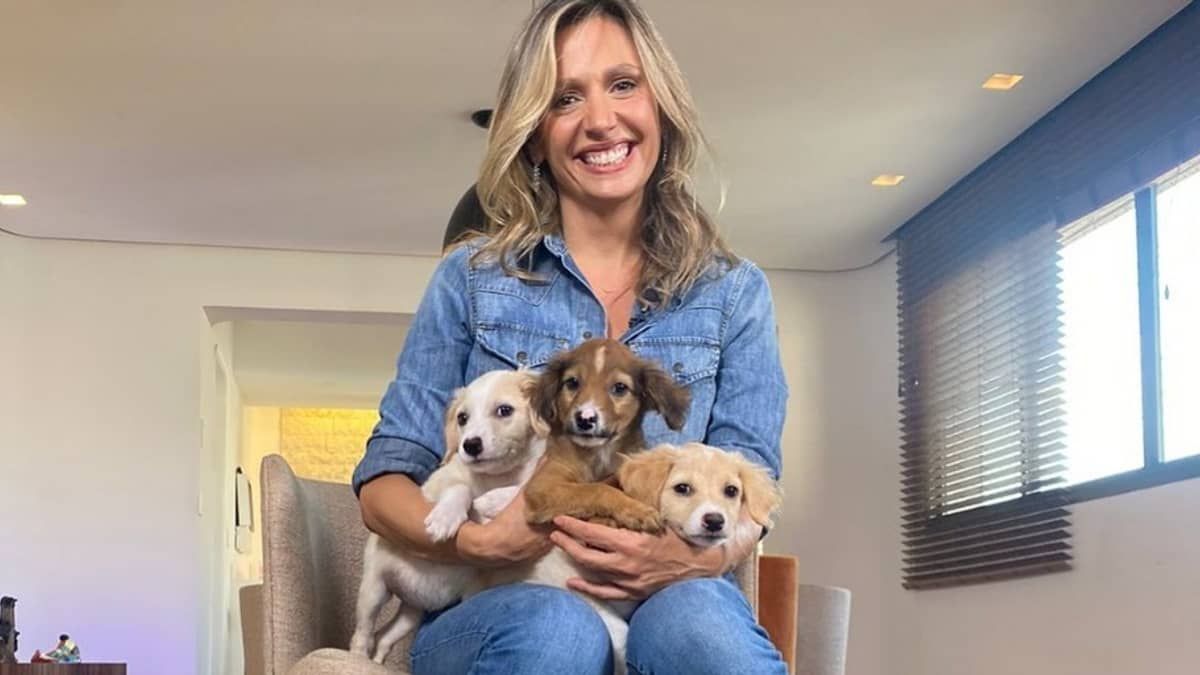 Luisa Mell critica Romeu Zema por projeto que pode aumentar ICMS para ração de animais