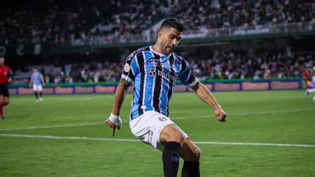 Luisito deixará o Tricolor em dezembro deste ano