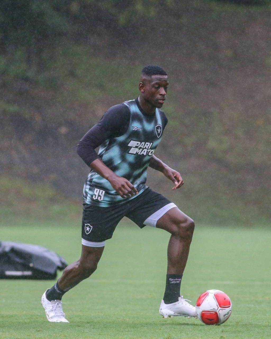 Botafogo se reapresenta com três reforços reintegrados ao grupo