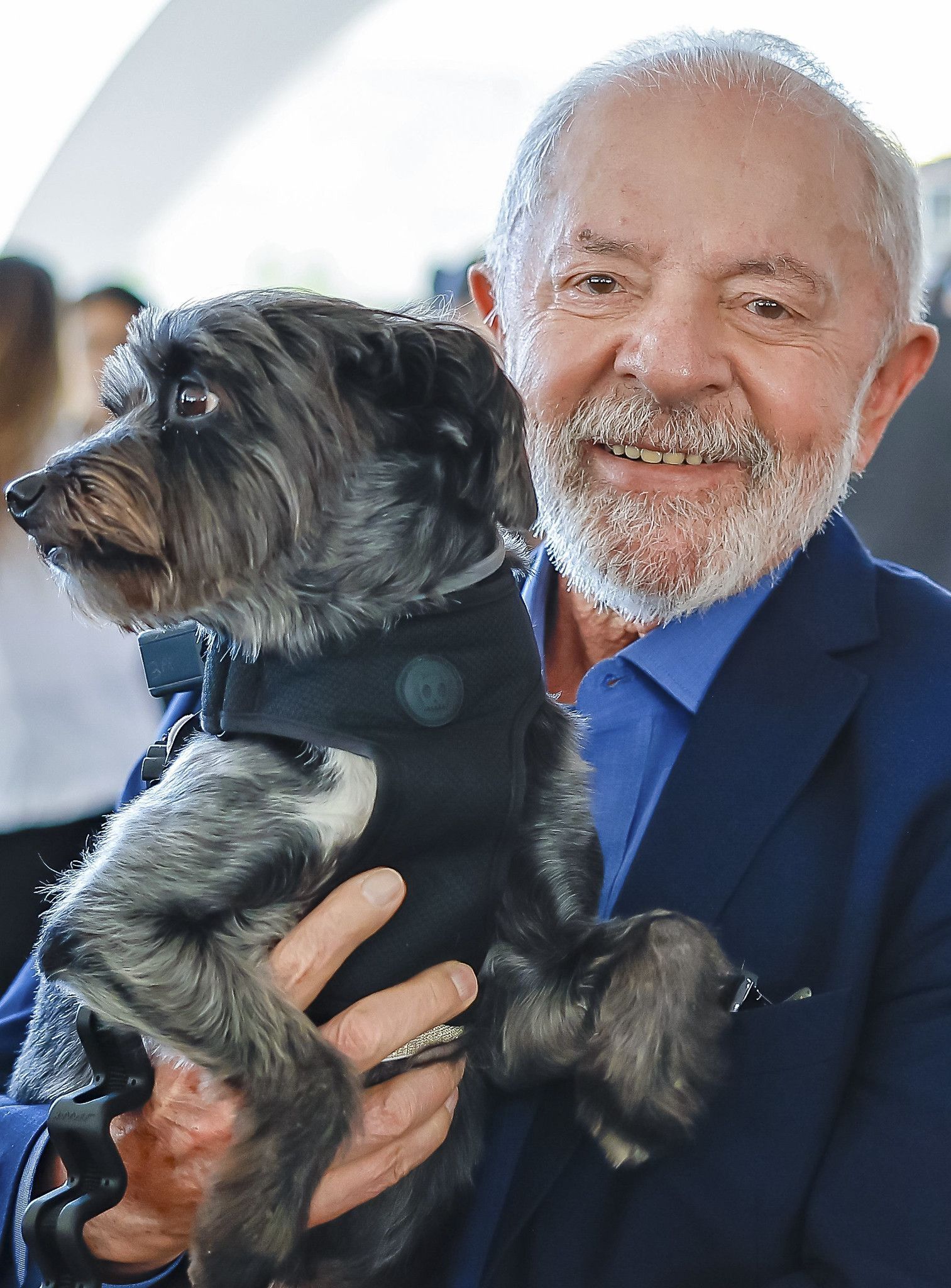 Lula sanciona lei que proíbe teste de cosméticos em animais