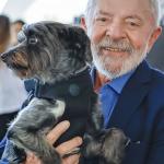 Lula sanciona lei que proíbe teste de cosméticos em animais