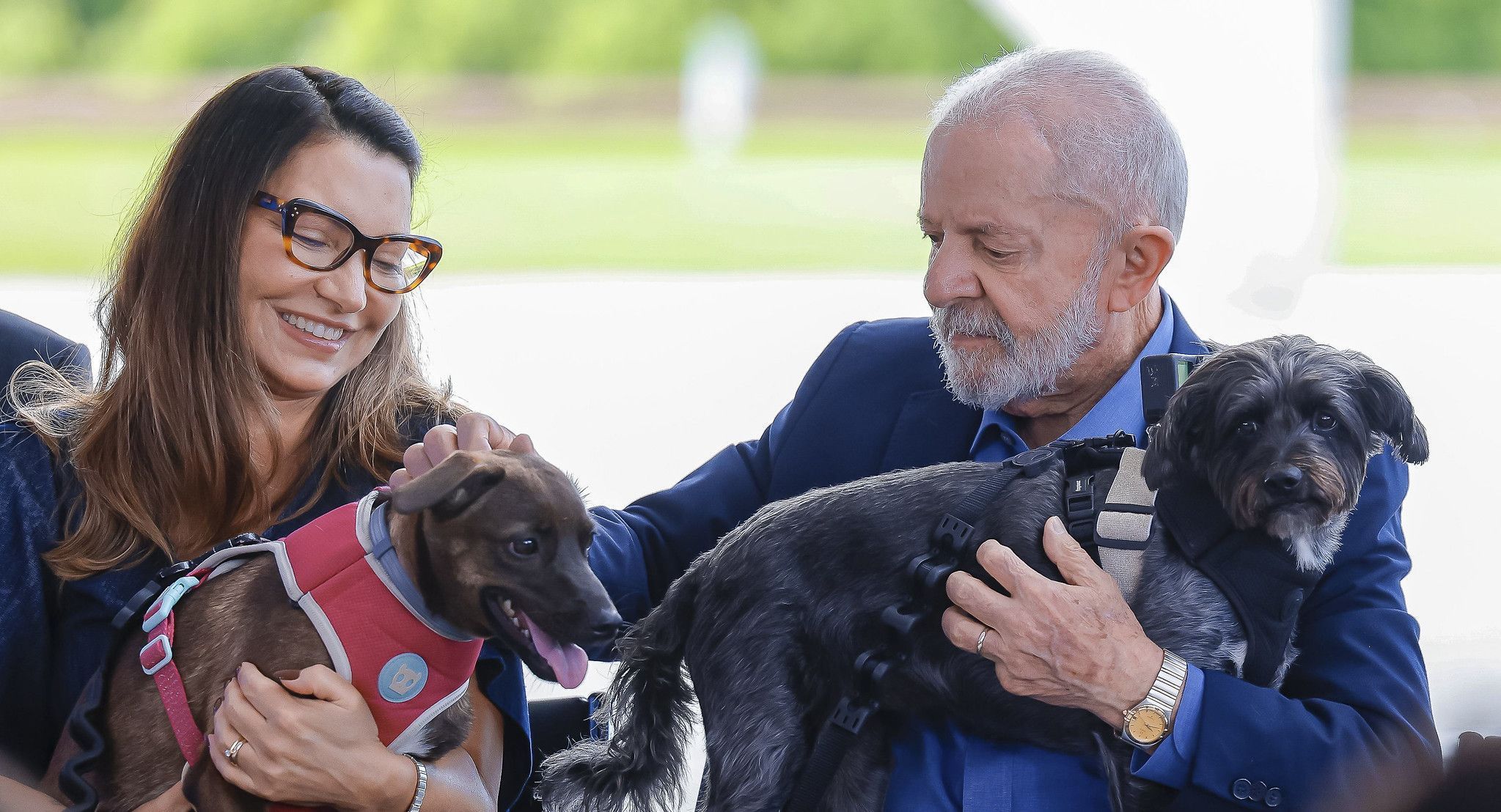 Lula lança RG animal para cães e gatos